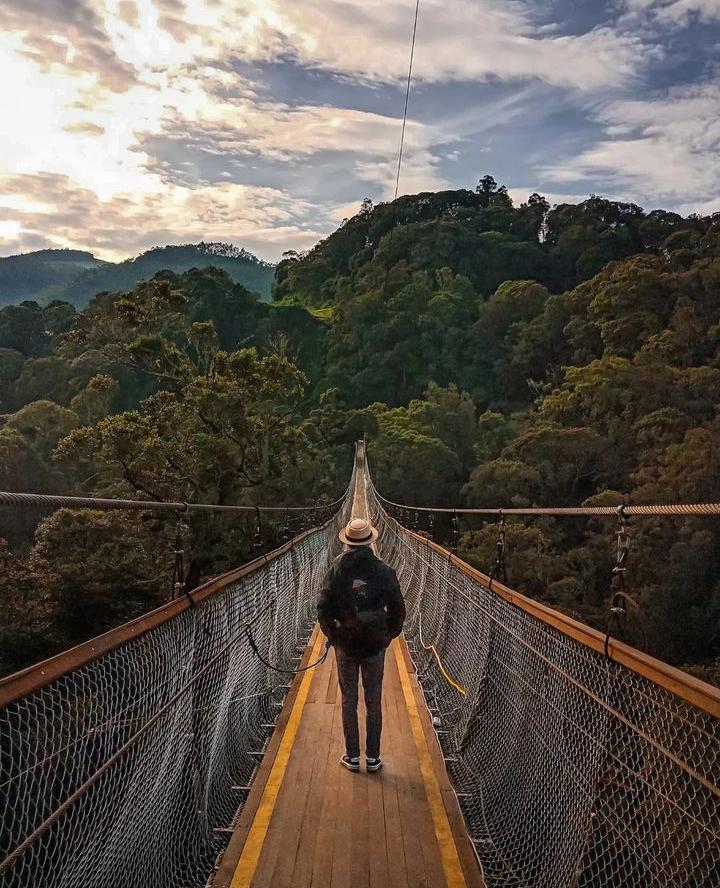 Jembatan Gantung Terpanjang