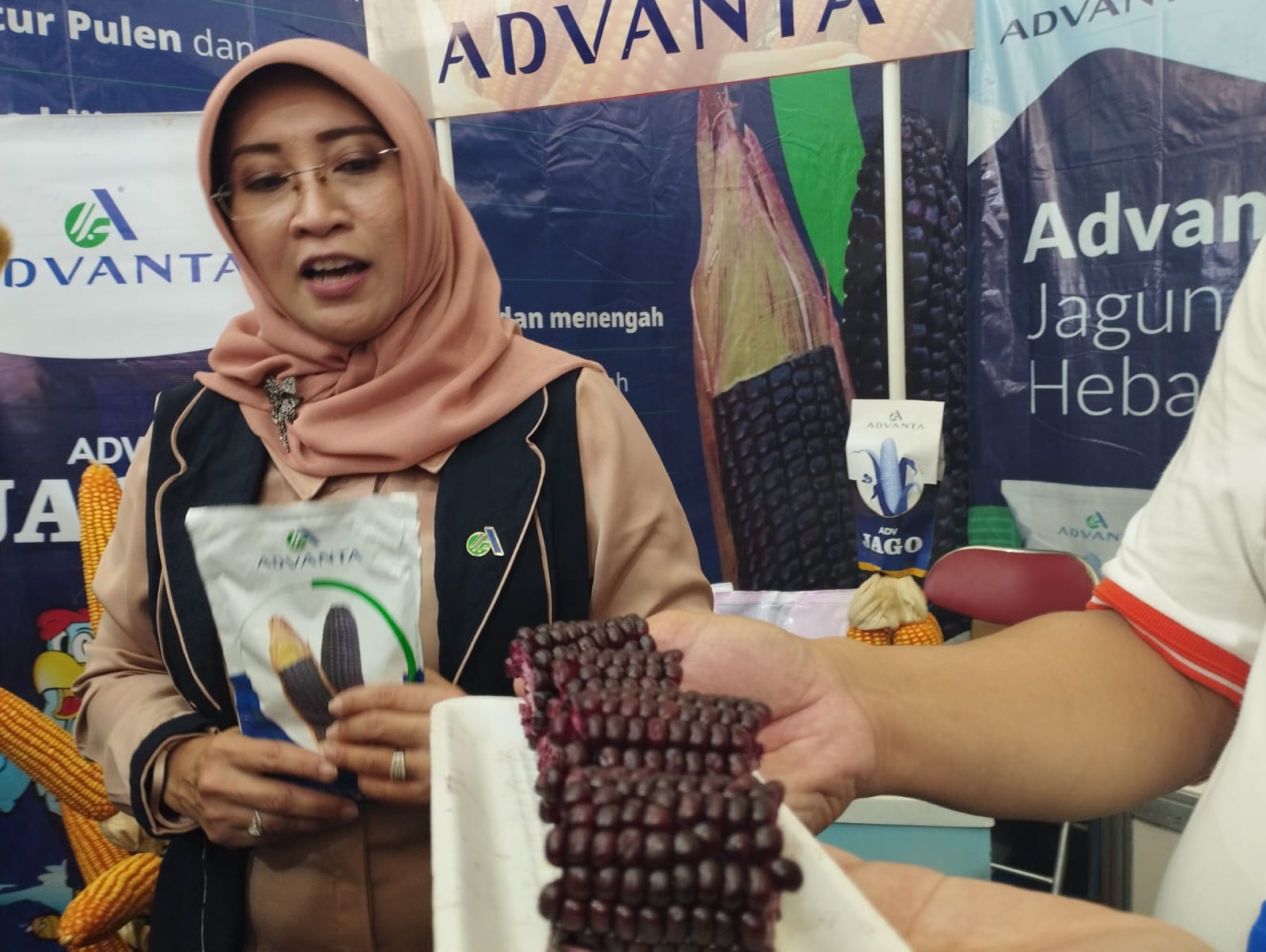 Jagung Ketan Ungu Variestas Unggul dari Advanta