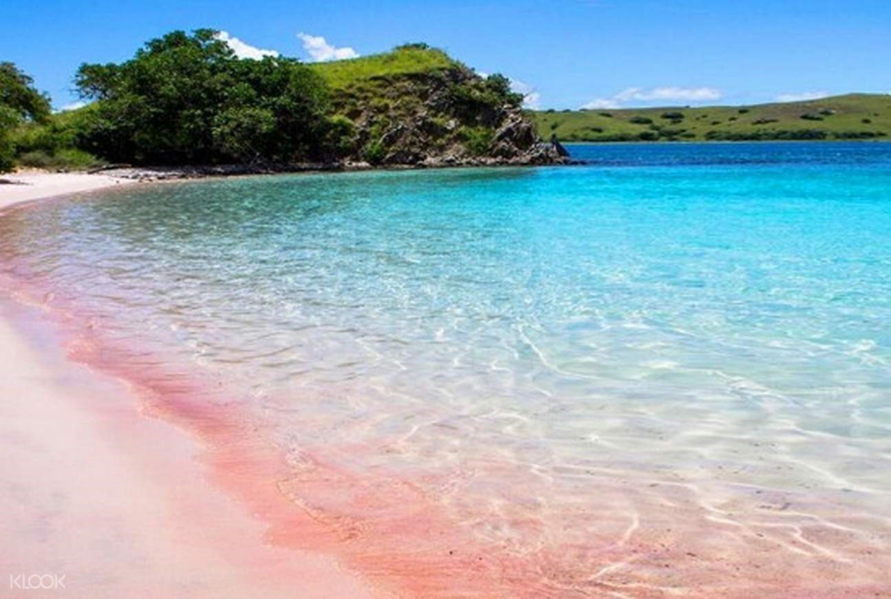 Pesona Pink Beach salah satu destinasi wisata di Lombok