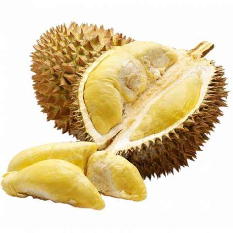 Durian